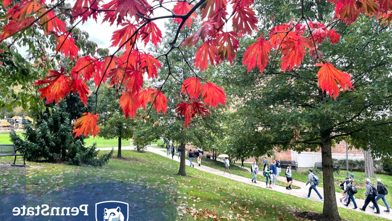 Students walking across campus during the fall. 